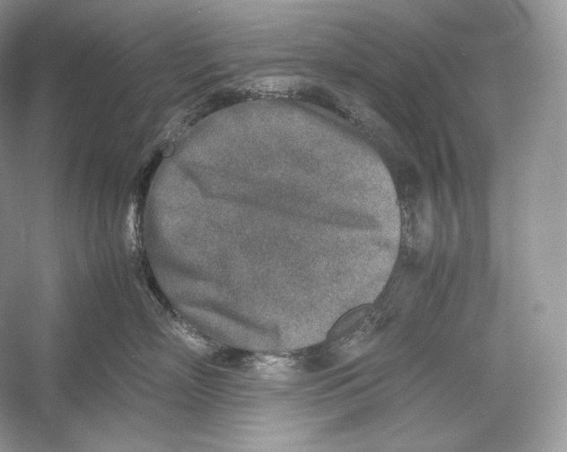 X0000052950718200508050922