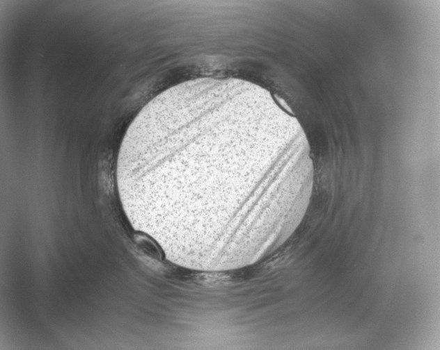 X0000052950719200508050922