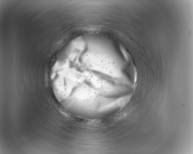 X0000052950720200508050922