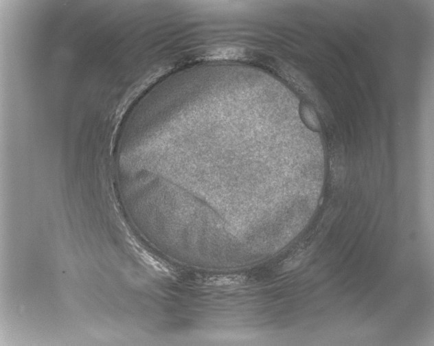 X0000052950721200508050921