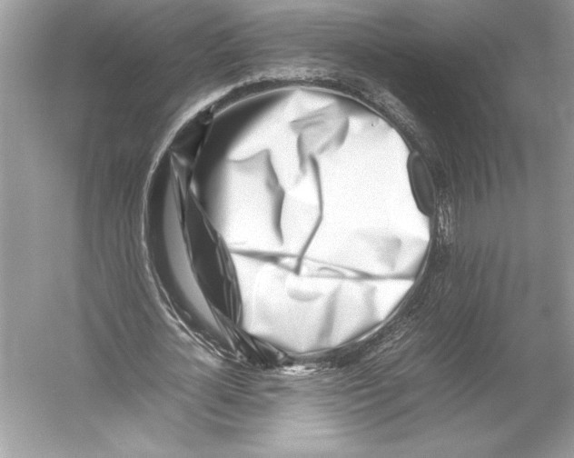 X0000052950724200508050921