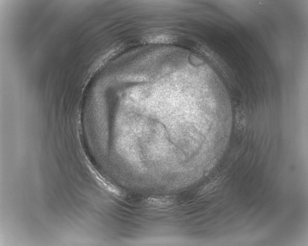 X0000052950725200508050921