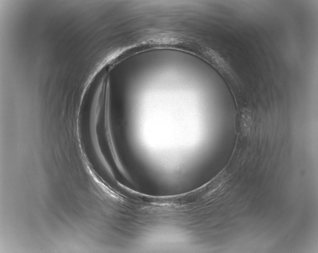 X0000052950726200508050921