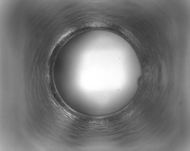 X0000052950727200508050921