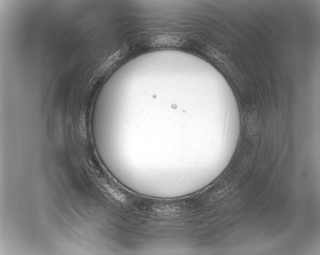 X0000052950729200508050921