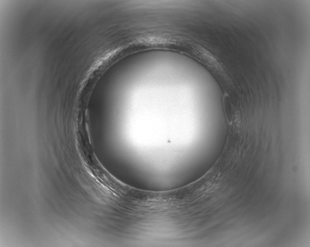 X0000052950732200508050921