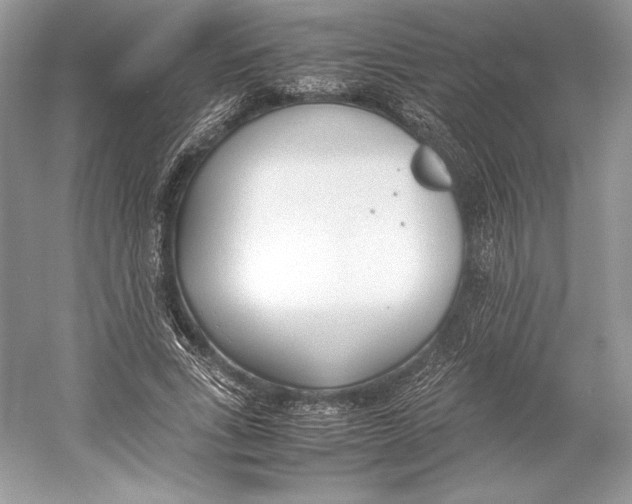 X0000052950735200508050921