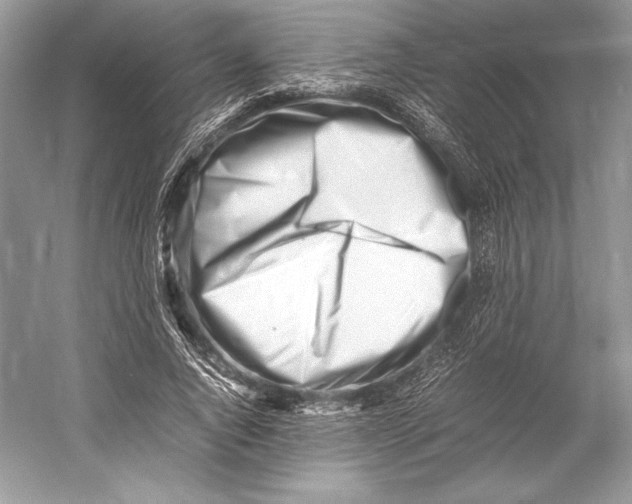 X0000052950736200508050921