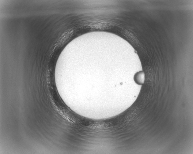 X0000052950738200508050921