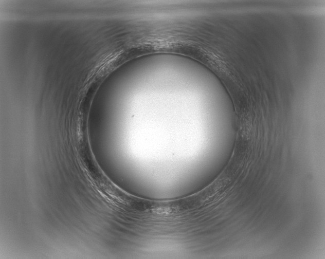 X0000052950740200508050921