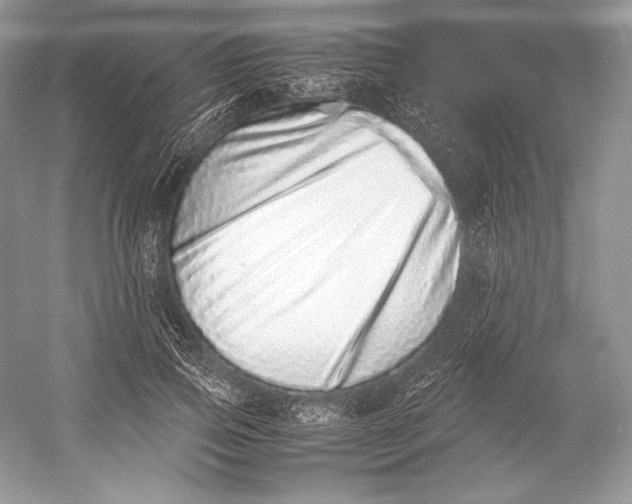 X0000052950741200508050921