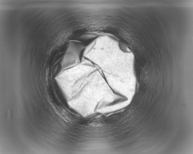 X0000052950742200508050921