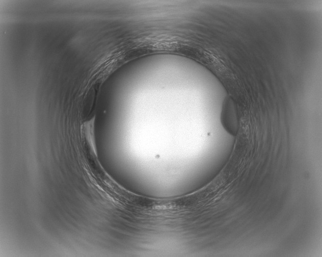 X0000052950744200508050921