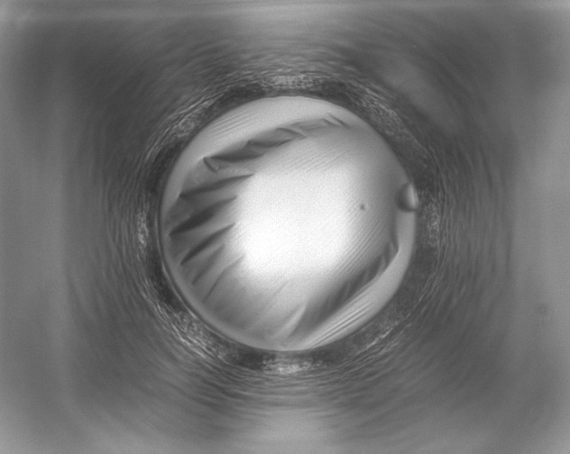 X0000052950746200508050921