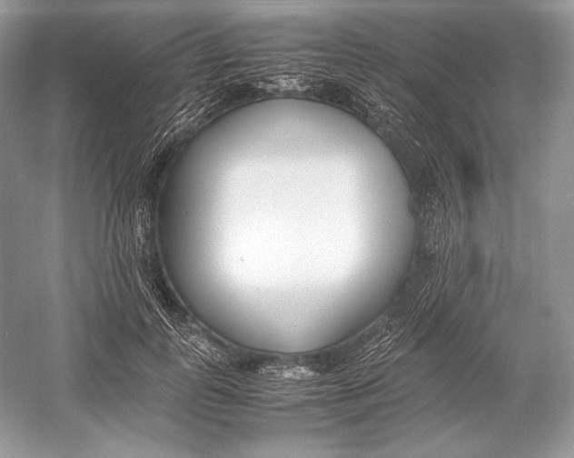 X0000052950747200508050921