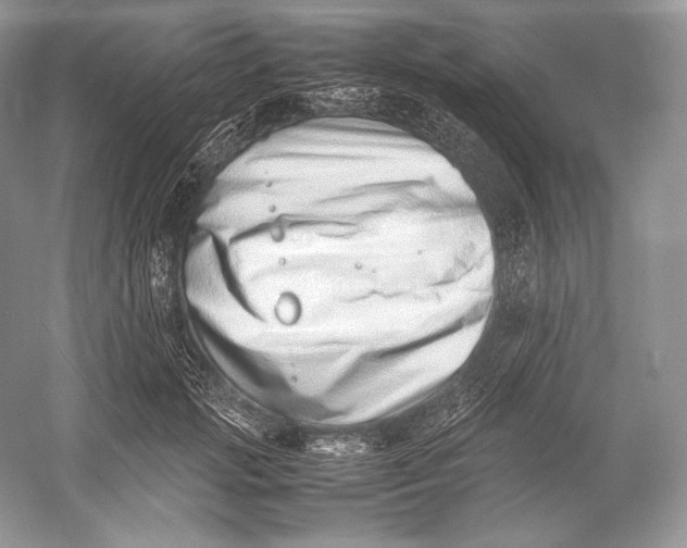 X0000052950749200508050921