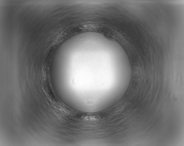 X0000052950751200508050922