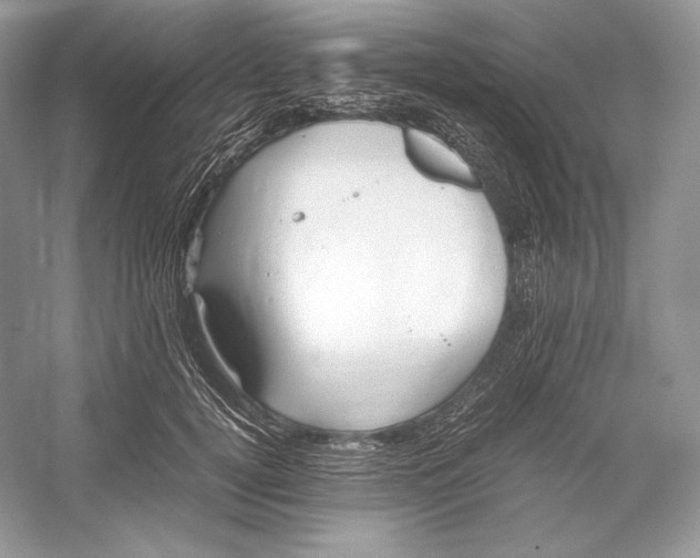 X0000052950752200508050922