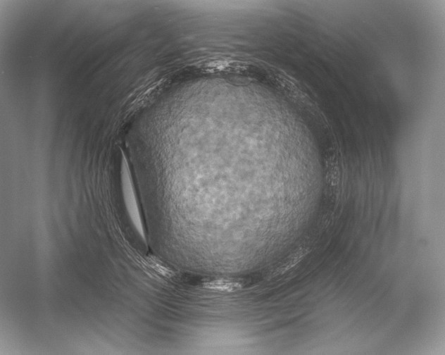 X0000052950754200508050922