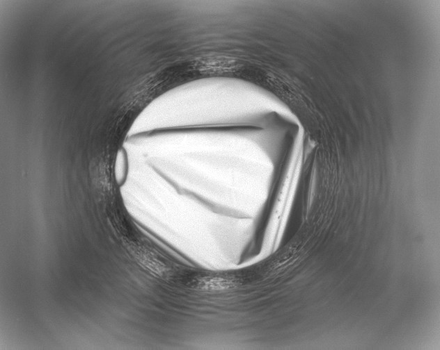 X0000052950755200508050922