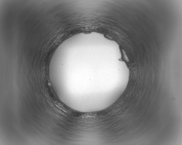 X0000052950756200508050922