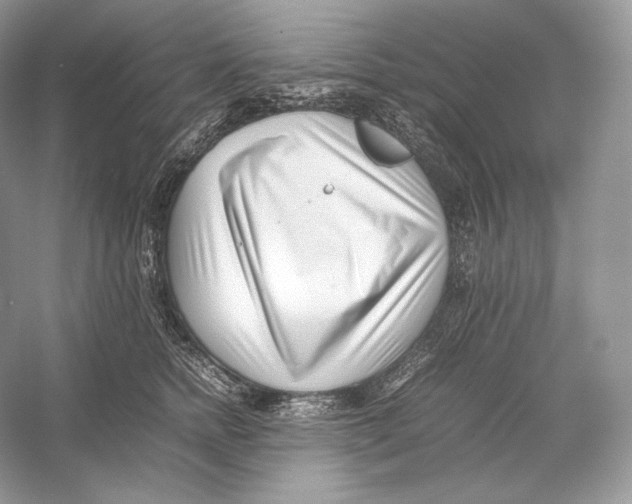 X0000052950758200508050922