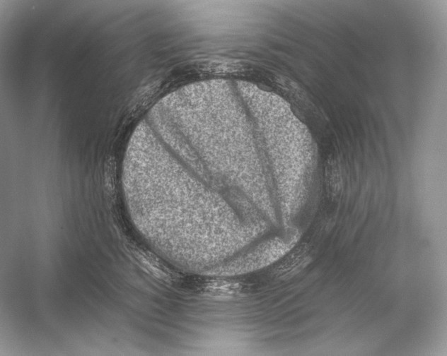 X0000052950760200508050922