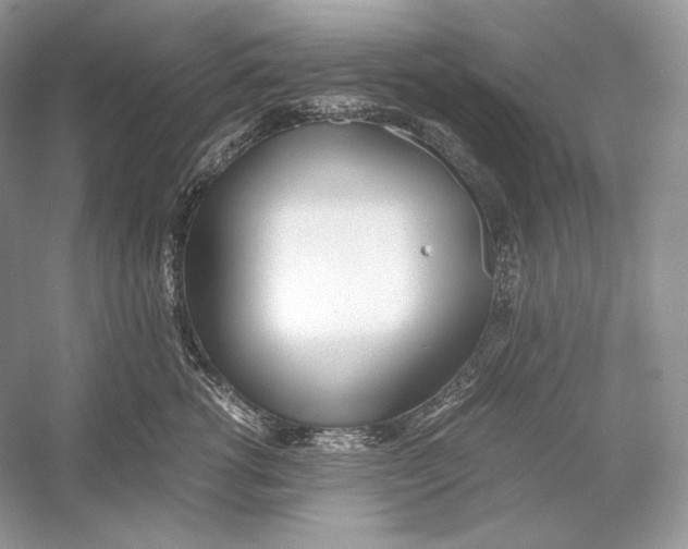 X0000052950762200508050922