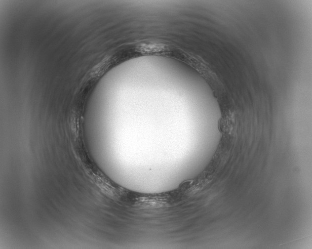 X0000052950763200508050922