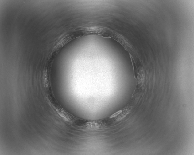 X0000052950764200508050922