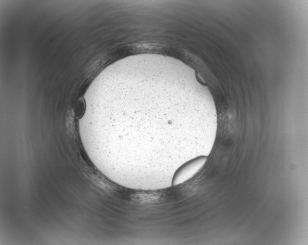 X0000052950765200508050922