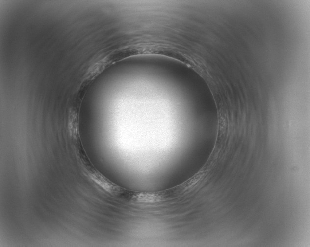 X0000052950766200508050922