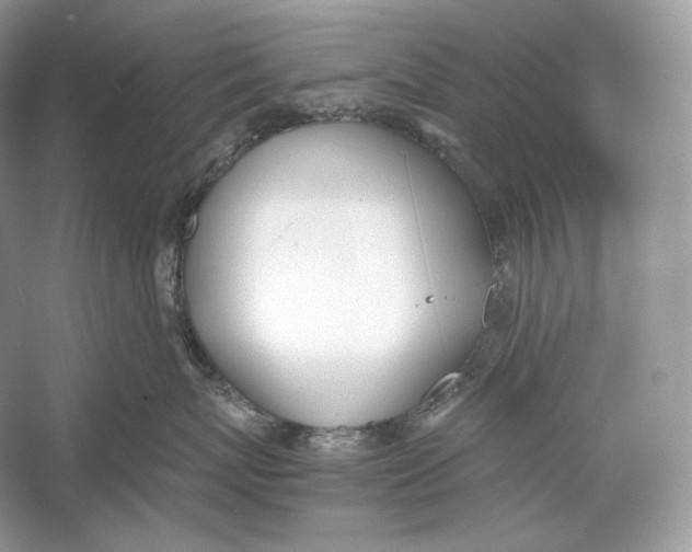 X0000052950767200508050922