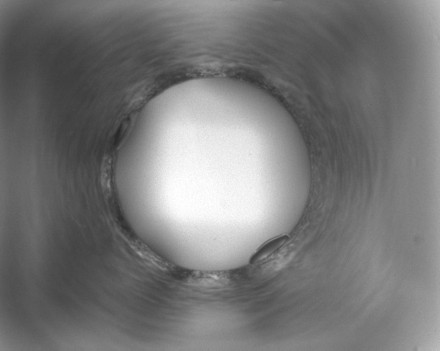 X0000052950768200508050922