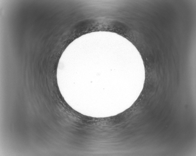 X0000052950769200508050921