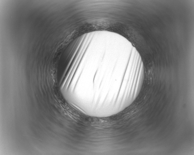 X0000052950772200508050921