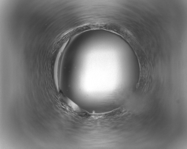 X0000052950773200508050921