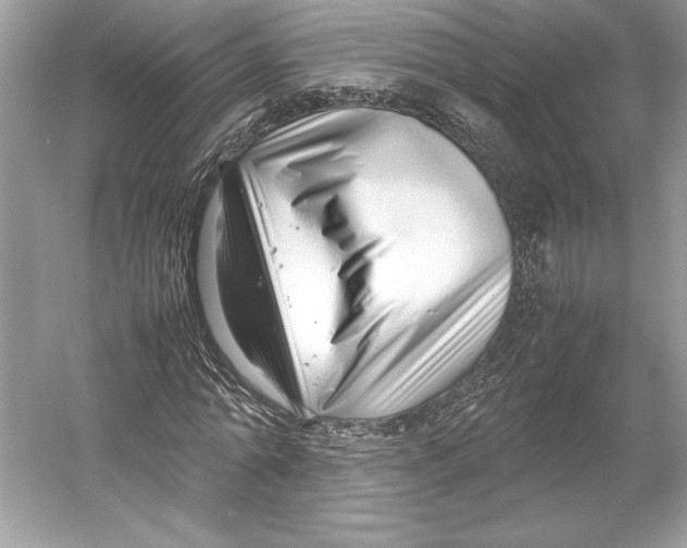 X0000052950774200508050921