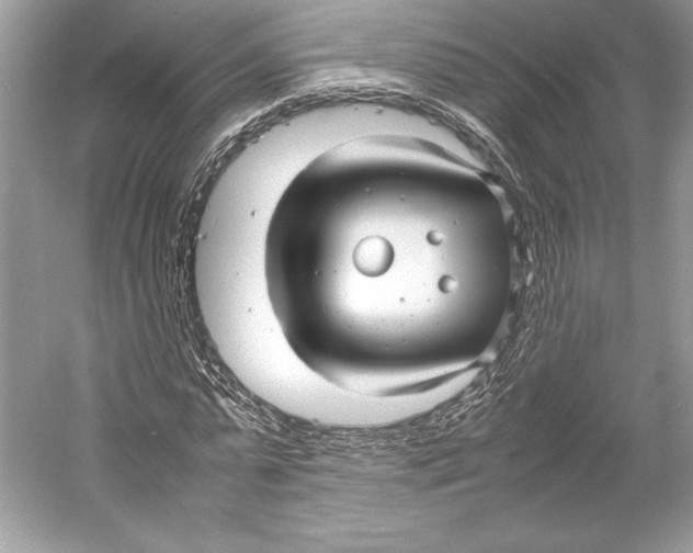 X0000052950775200508050921