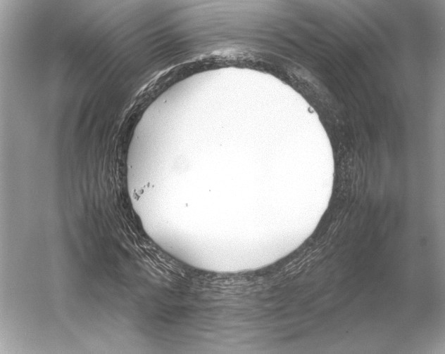 X0000052950776200508050921