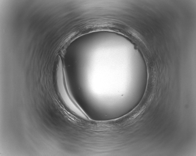 X0000052950777200508050921