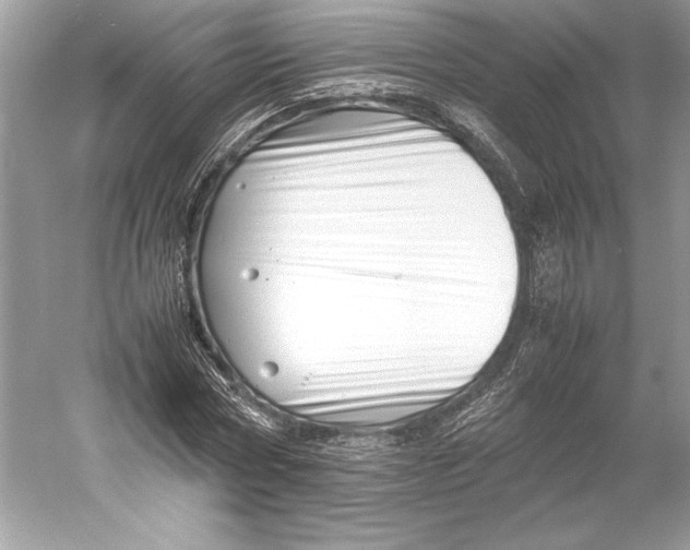 X0000052950778200508050921