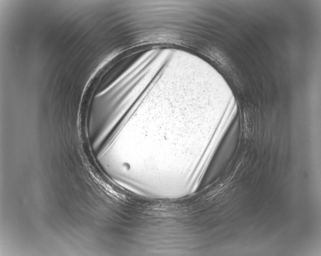 X0000052950780200508050921