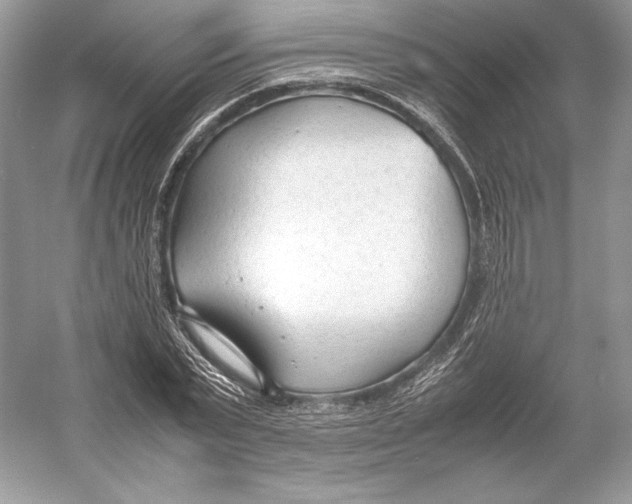 X0000052950783200508050921