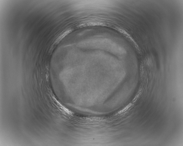 X0000052950785200508050921