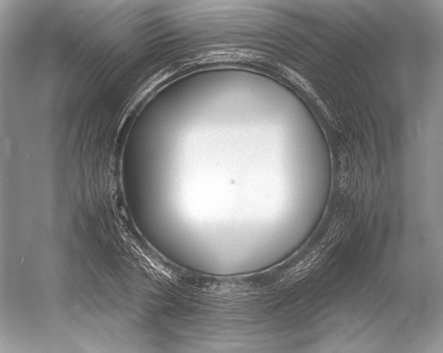 X0000052950786200508050921