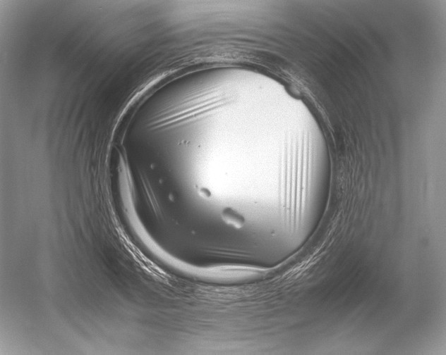 X0000052950787200508050921