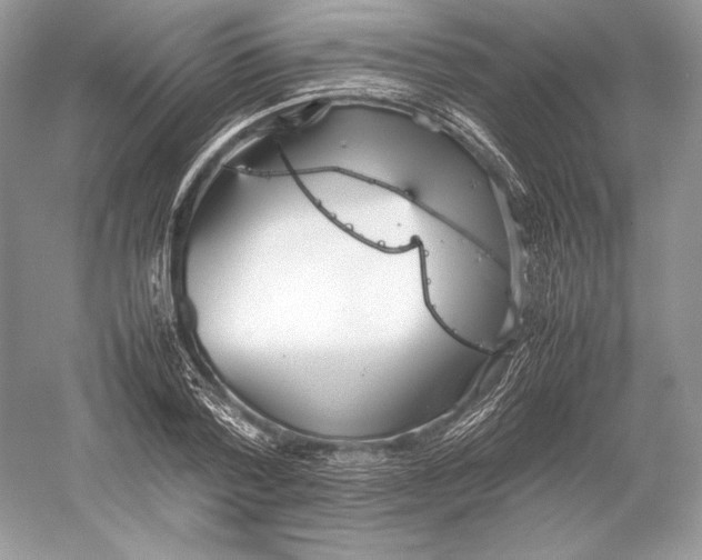 X0000052950788200508050921