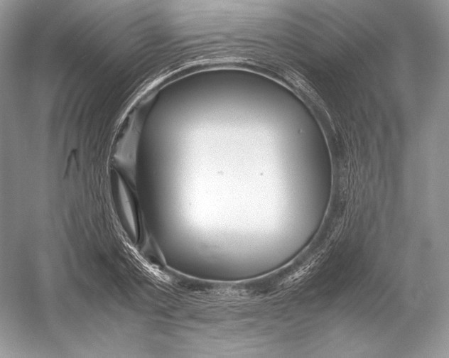 X0000052950789200508050921