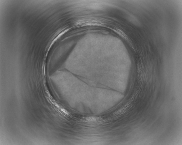 X0000052950790200508050921